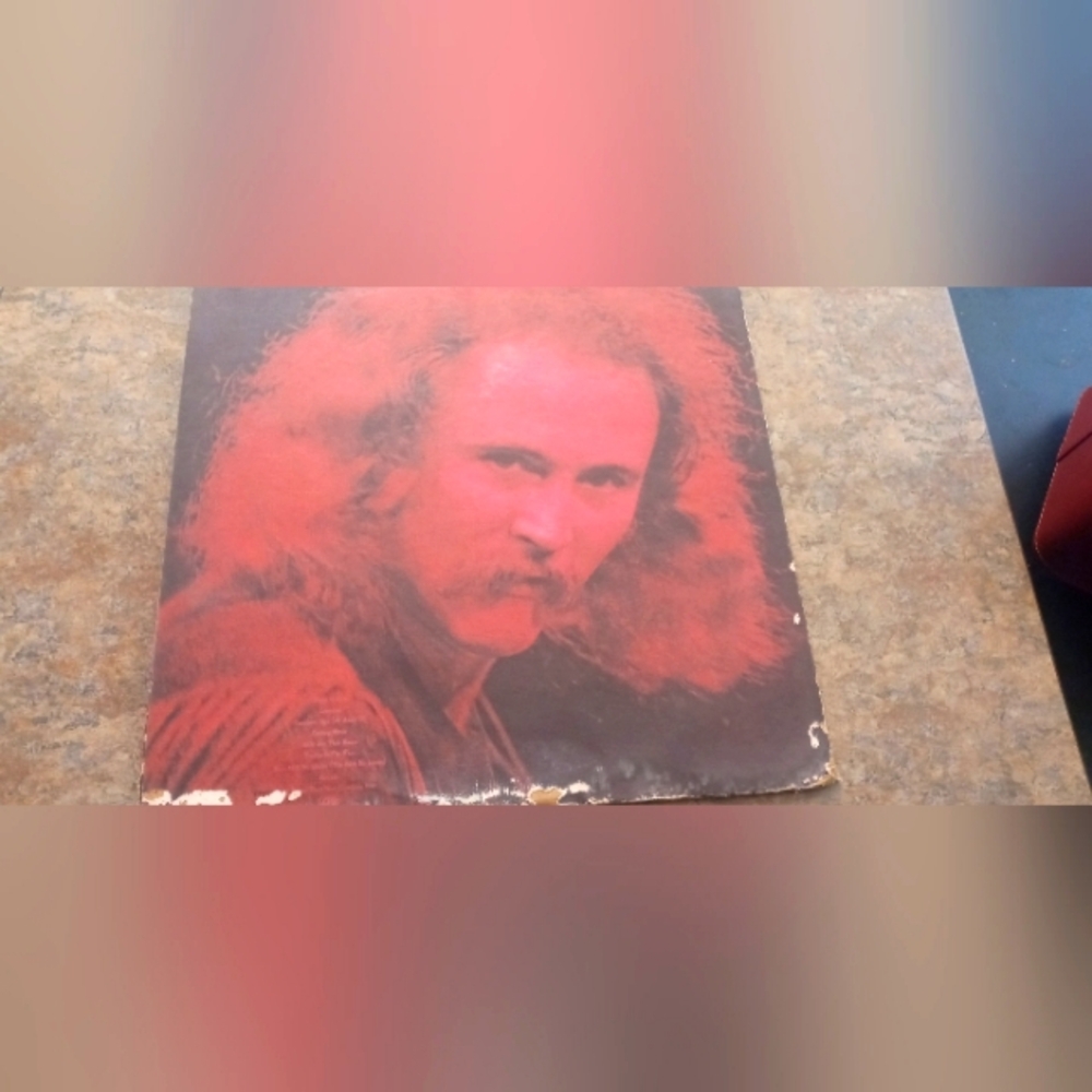 Red-Toned Vinyl Record Cover - Classic Portrait Artwork